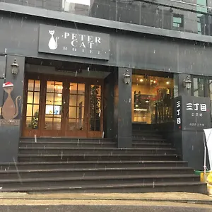 피터캣 신촌 3*, 서울특별시 대한민국